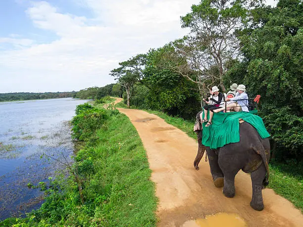 elephant riding