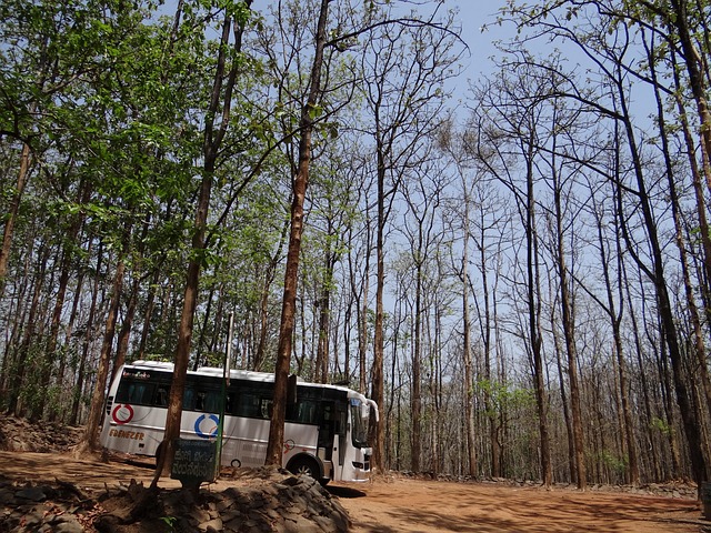 bus travel: koshsih blogs
