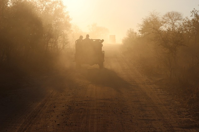 bardiya national park: koshish sharma