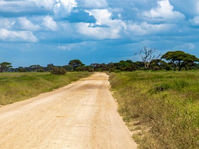 bardiya national park: koshish blogs
